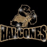 GLT32 GOLD GLITTER Thumbnail