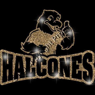 GLT32 GOLD GLITTER Thumbnail