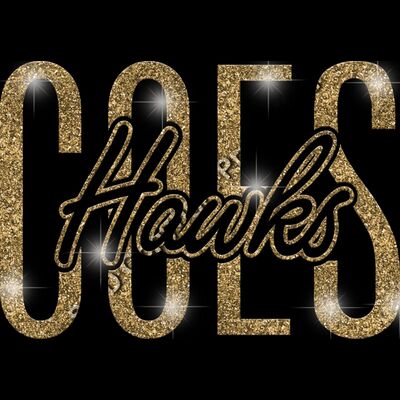 GLT95 GOLD GLITTER Thumbnail