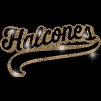 GLT78 GOLD GLITTER Thumbnail